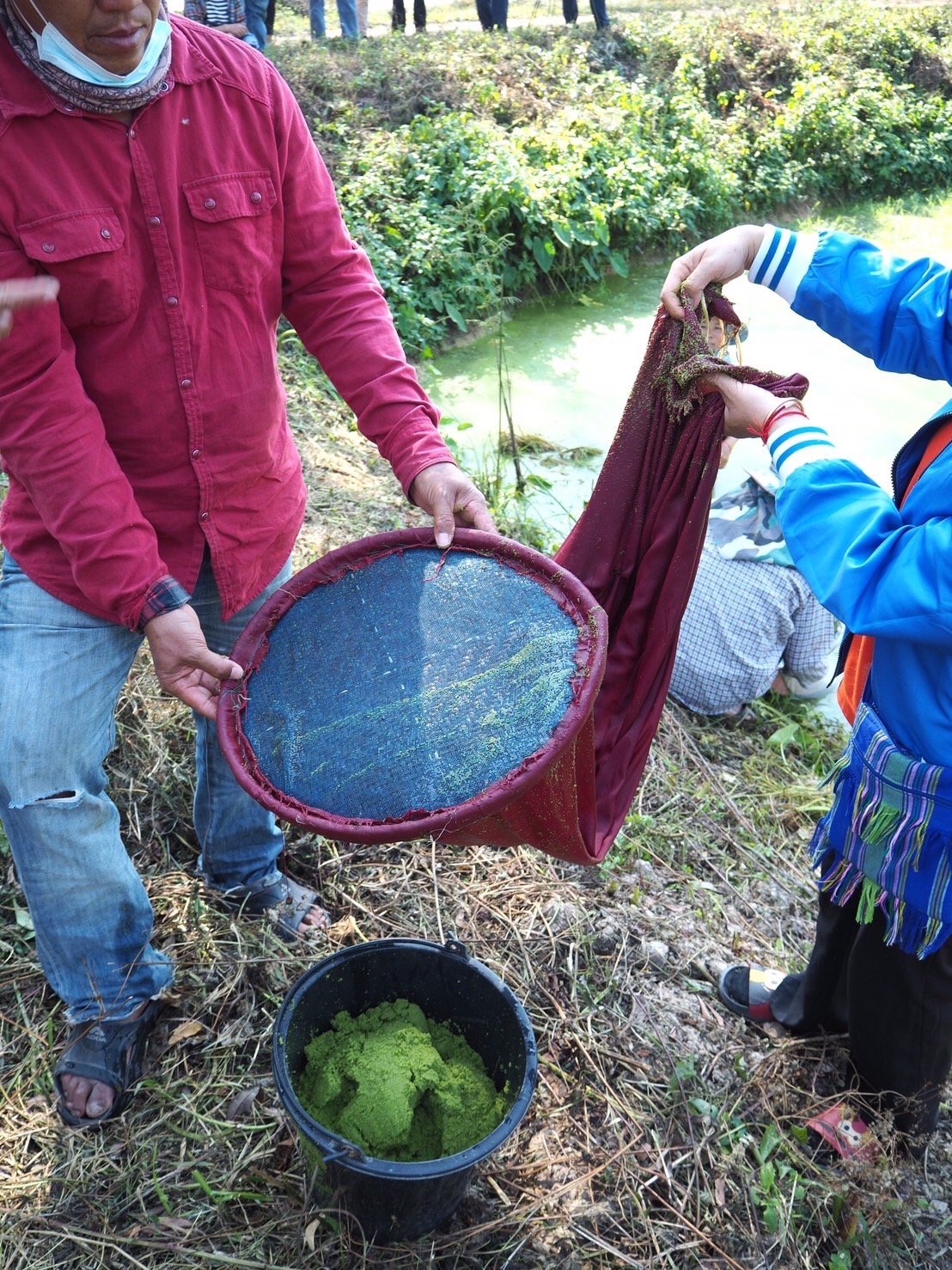 การดำเนินงานโครงการธนาคารผลผลิตสัตว์น้ำแบบมีส่วนร่วม ณ แหล่งน้ำหนองบัว บ้านไคร้ป่าคา หมู่ 3 ต.น้ำแวน อ.เชียงคำ จ.พะเยา..คลิก