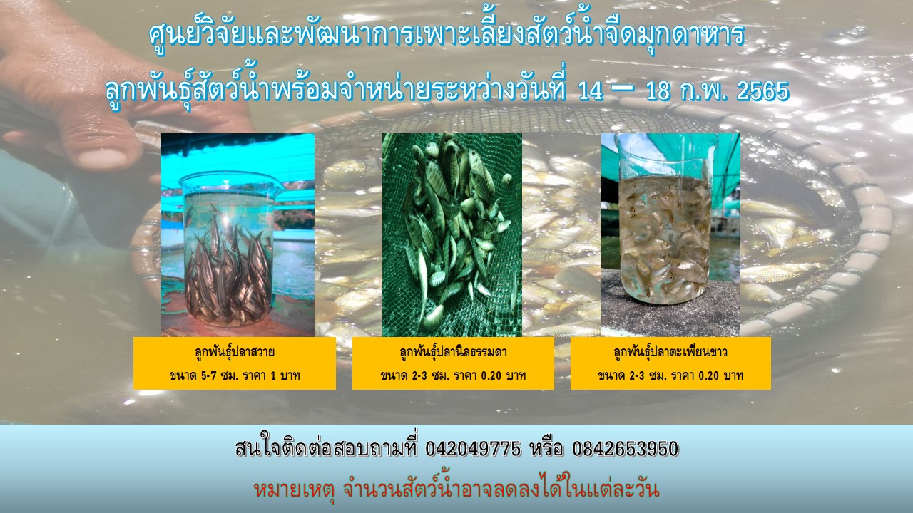 ลูกพันธุ์สัตว์น้ำพร้อมจำหน่าย..คลิก
