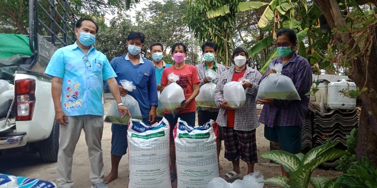 การส่งมอบปัจจัยการผลิตให้เกษตรกรในโครงการส่งเสริมการเลี้ยงสัตว์น้ำจืด (ปลาดุก/กบ) ในบ่อกระชังบก..คลิก