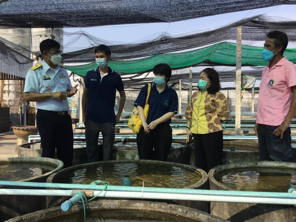 ลงพื้นที่ให้ความรู้แก่เกษตรกรโครงการระบบส่งเสริมเกษตรแบบแปลงใหญ่ (ปลาสวยงาม) อำเภอบ้านโป่ง..คลิก