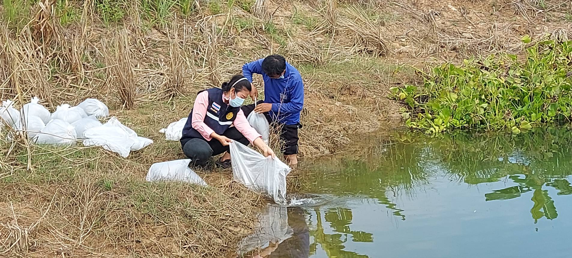   ประมงอำเภอสว่างวีระวงศ์ (ดูแลงานด้านประมงในพื้นที่อำเภอนาเยีย) ลงพื้นที่เยี่ยมเยียน ติดตาม 