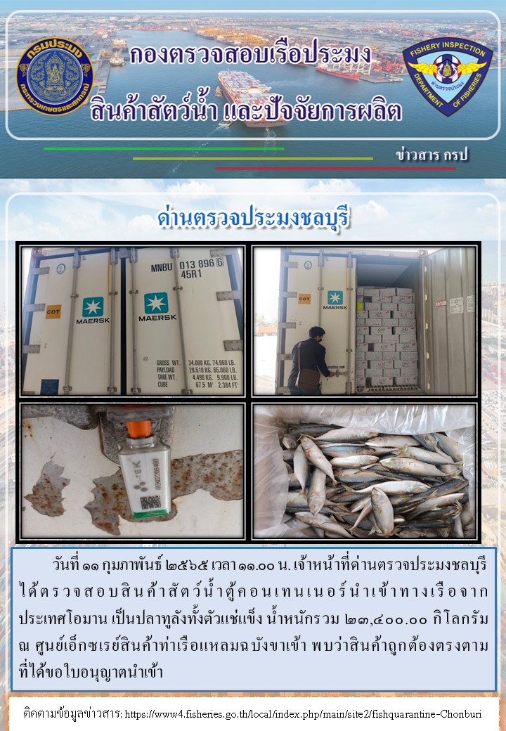 การปฏิบัติงานของเจ้าหน้าที่ด่านตรวจประมงชลบุรีประจำวันที่ 11 กุมภาพันธ์ 2565..คลิก