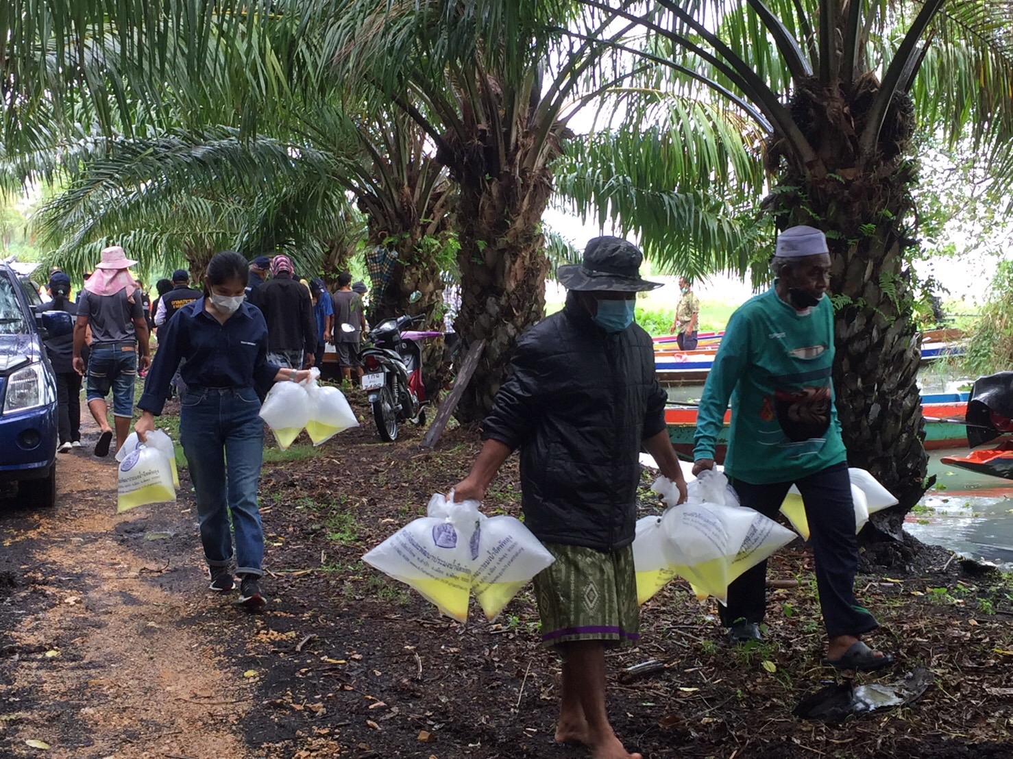 ประมงจังหวัดพัทลุง ร่วมปล่อยพันธุ์สัตว์น้ำโครงการฟื้นฟูทรัพยากรประมงในทะเลสาบสงขลา