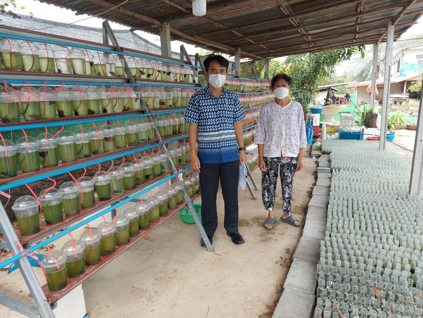 วันที่ 17 กุมภาพันธ์ 2565 นายวิทยา ประเสริฐสังข์ ประมงอำเภอโนนสัง ดำเนินการตรวจสอบการขอขึ้นทะเบียน (ทบ.1) ฟาร์มเพาะเลี้ยงปลาสวยงาม (ปลากัด)..คลิก