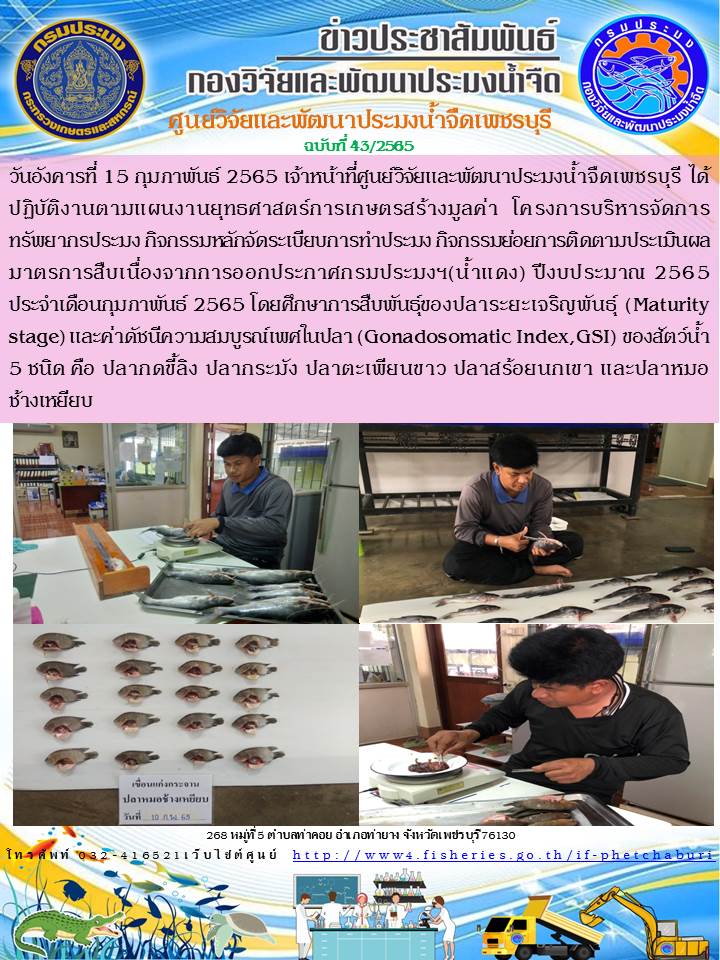 ข่าวประชาสัมพันธ์ครั้งที่ 43/2565