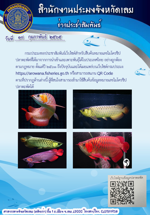 เว็บไซต์สำหรับสืบค้นหมายเลขไมโครซิปปลาตะพัด