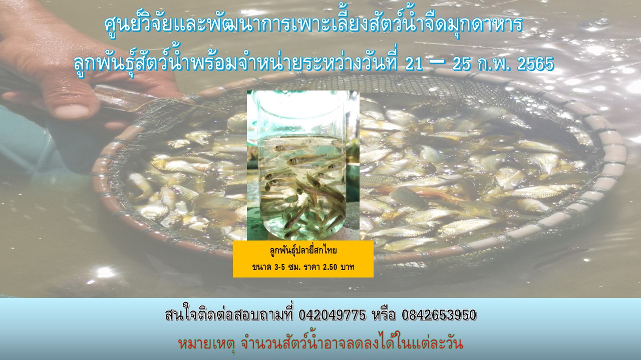 ลูกพันธุ์สัตว์น้ำพร้อมจำหน่าย