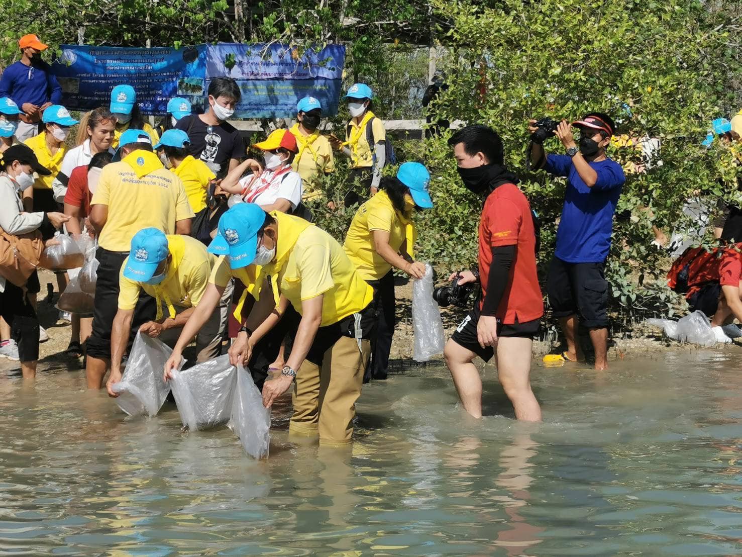 โครงการเพิ่มความอุดมสมบูรณ์สัตว์น้ำรอบเกาะภูเก็ต 2564-2565..คลิก