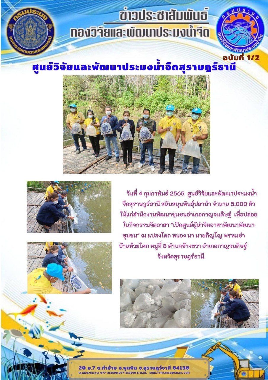 วันที่ 4 กุมภาพันธ์ 2565 ศูนย์วิจัยและพัฒนาประมงน้ำจืดสุราษฎร์ธานี สนับสนุนพันธุ์ปลาบ้า จำนวน 5,000 ตัว ให้แก่สำนักงานพัฒนาชุมชนอำเภอกาญจนดิษฐ์..คลิก