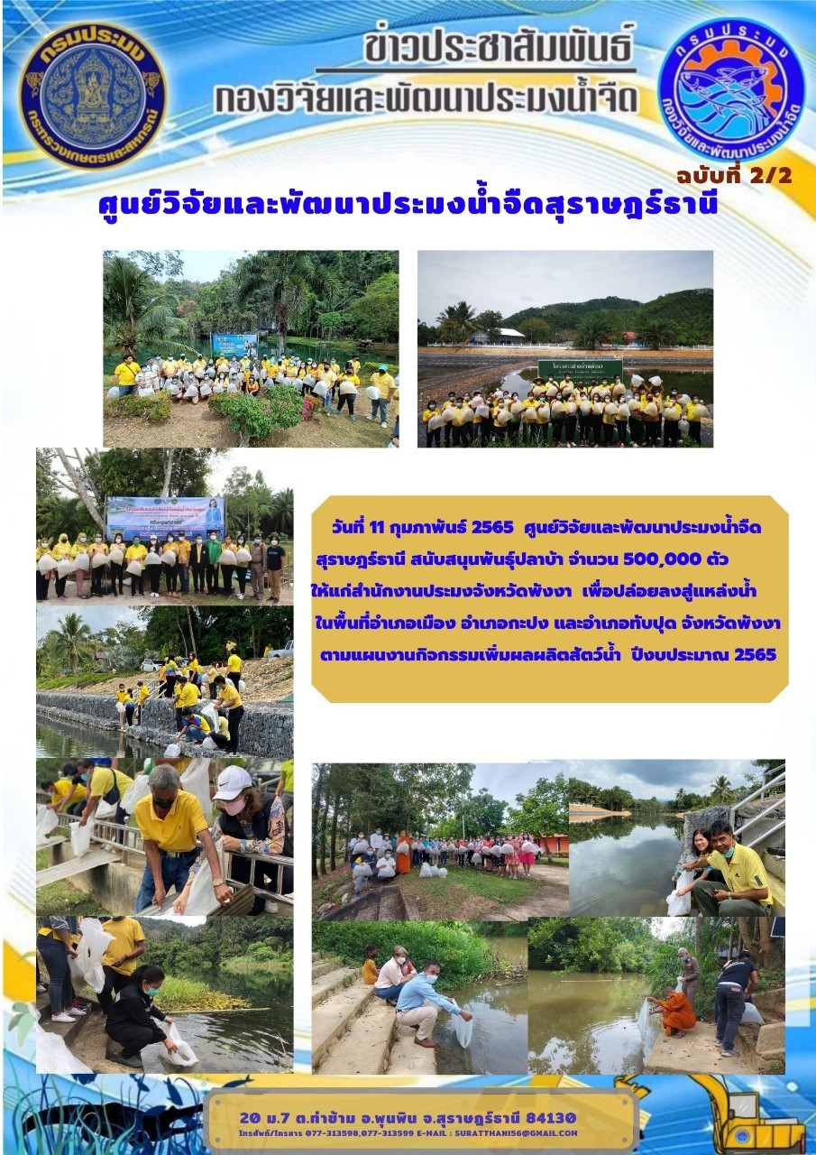 วันที่ 11 กุมภาพันธ์ 2565 ศูนย์วิจัยและพัฒนาประมงน้ำจืด สุราษฎร์ธานี สนับสนุนพันธุ์ปลาบ้า จำนวน 500,000 ตัว ให้แก่สำนักงานประมงจังหวัดพังงา..คลิก
