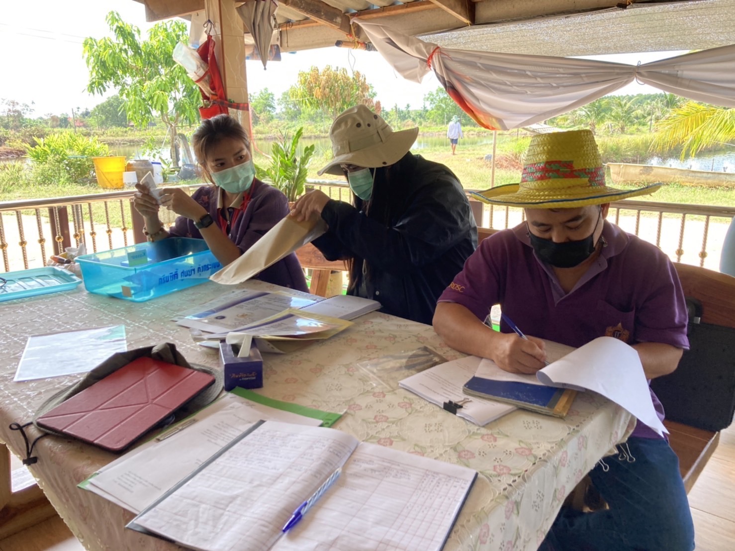 นางสาวมนทกานติ ท้ามติ้น  มอบหมายให้ นางสาวนันทวรรณ  บุตรโคษา พร้อมด้วยเจ้าหน้าที่งานตรวจรับรองมาตรฐานฟาร์ม เข้าตรวจประเมินฟาร์มเกษตรกรผู้เลี้ยงกุ้งทะเล ในเขตอำเภอท่าใหม่ และเขตอำเภอนายายอาม จังหวัดจันทบุรี..คลิก