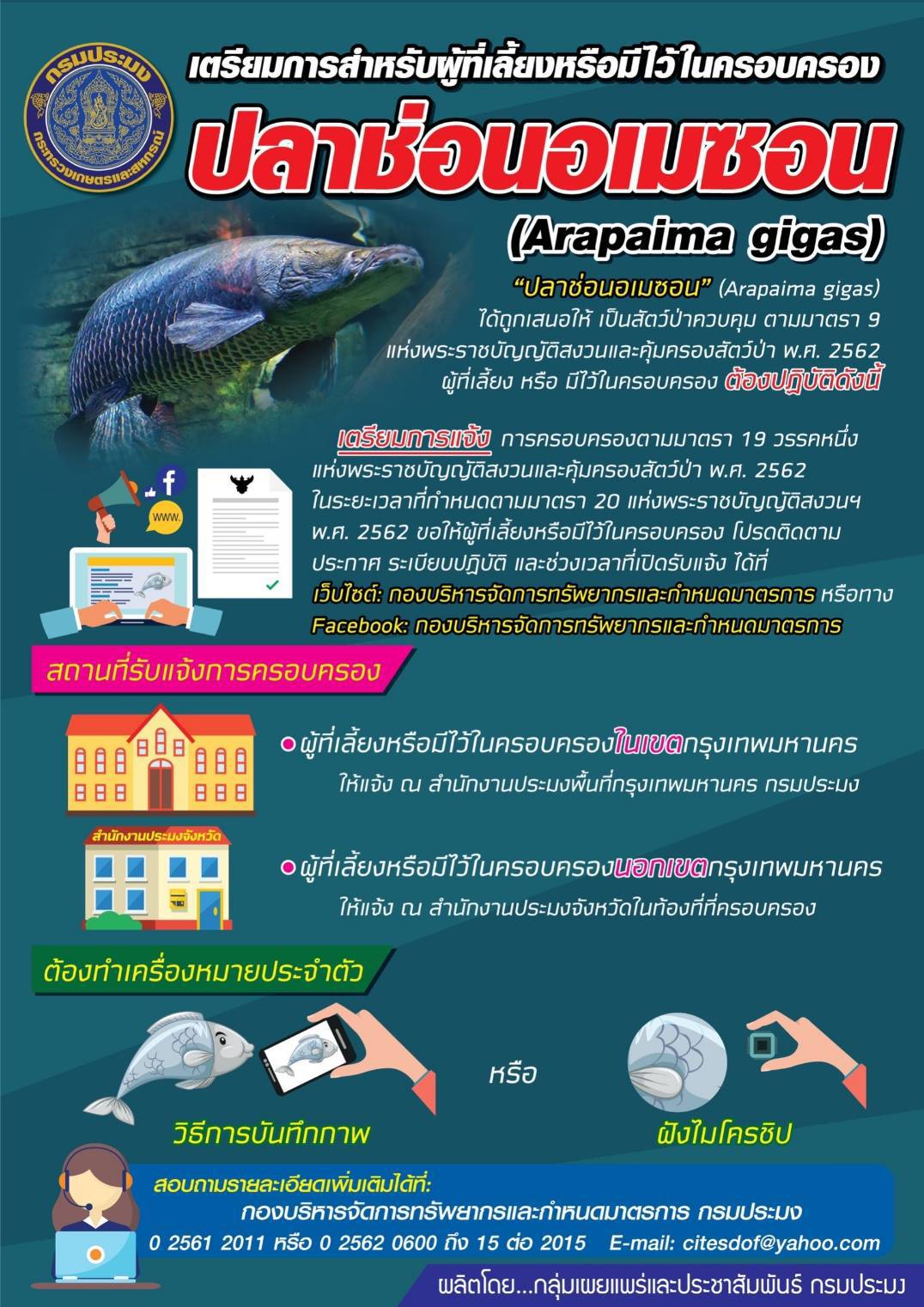 ผู้เลี้ยงหรือครอบครองปลาช่อนอเมซอน ต้องแจ้งการครอบครองตามมาตรา 19 วรรคหนึ่ง แห่งพระราชบัญญัติสงวนและคุ้มครองสัตว์ป่า พ.ศ. 2562..คลิก