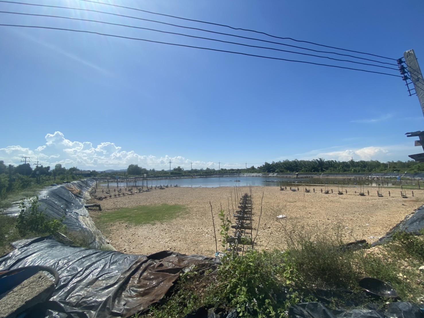 ประมงจังหวัดพัทลุง ลงพื้นที่เยี่ยมเกษตรกรผู้เพาะเลี้ยงกุ้งทะเลและเตือนเฝ้าระวังโรคสัตว์น้ำฯ อำเภอปากพะยูน จังหวัดพัทลุง