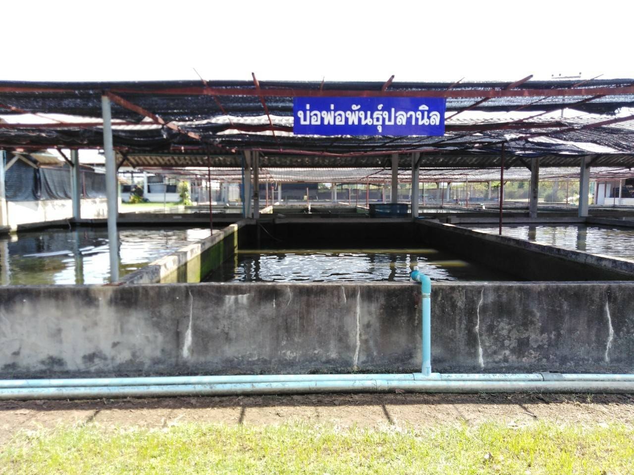 วันอังคารที่ 22 กุมภาพันธ์ 2565 ศูนย์วิจัยและพัฒนาการเพาะเลี้ยงสัตว์น้ำจืดหนองคาย ออกพื้นที่เพื่อตรวจประเมินโรงเพาะฟักและอนุบาลของหน่วยงาน ณ ศูนย์วิจัยและพัฒนาการเพาะเลี้ยงสัตว์น้ำจืดขอนแก่น อำเภอเมือง จังหวัดขอนแก่นในการเข้าตรวจประเมินโรงเพาะและอนุบาลในครั้งนี้ได้รับความร่วมมือจากเจ้าหน้าที่เป็นอย่างดี..คลิก