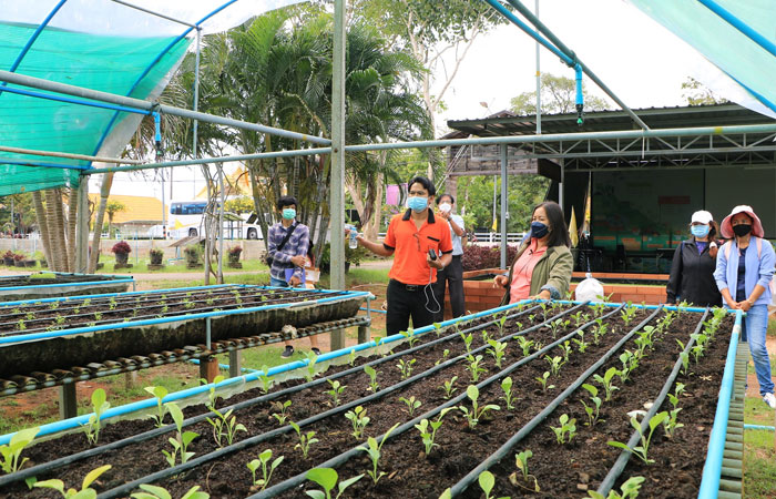 คณะวิทยาศาสตร์และศิลปะศาสตร์ มหาวิทยาลัยบูรพา วิทยาเขตจันทบุรี จัดอบรมโครงการพัฒนาทักษะกำลังคนของประเทศ (Reskill/Upskill/Newskill) “หลักสูตรการพัฒนาระบบควบคุมภายในโรงเรือนด้วยเทคโนโลยีอินเทอร์เน็ตของสรรพสิ่ง (loT) และการปลูกเมล่อนด้วยระบบอัตโนมัติ”..คลิก