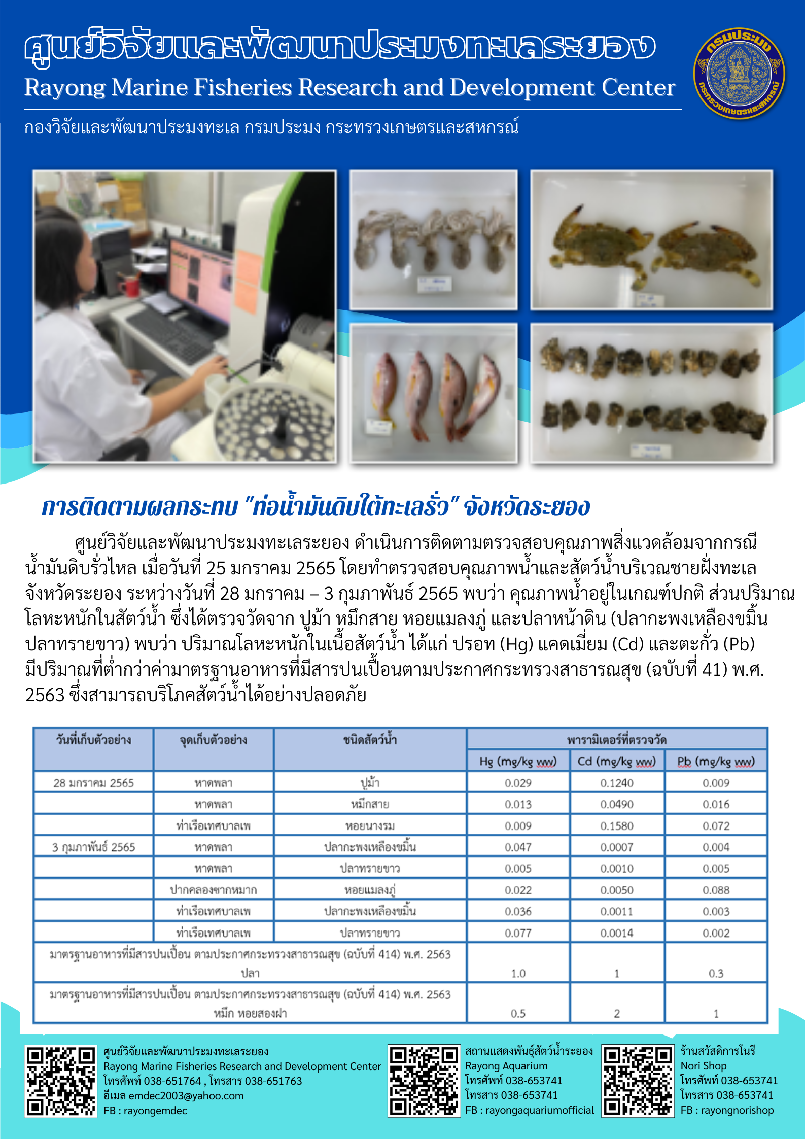 การติดตามผลกระทบ 