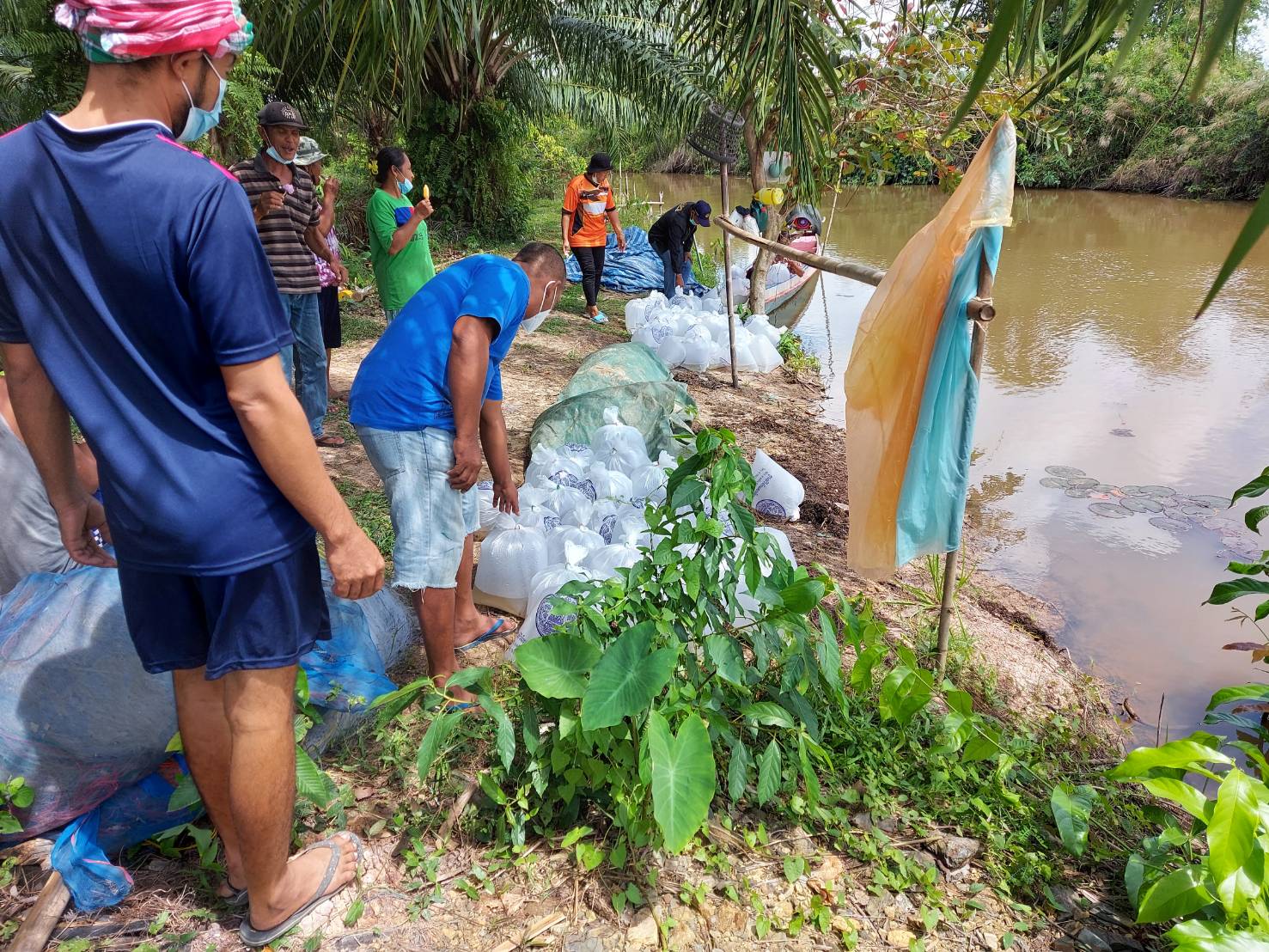 ประมงอำเภอเขาชัยสน ร่วมปล่อยพันธุ์ปลากินพืช ณ คลองปากพะเนียด หมู่ที่ 12 ตำบลหานโพธิ์ อำเภอเขาชัยสน