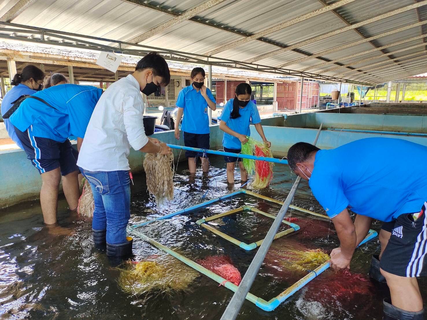 โครงการส่งเสริมอาชีพประมง กิจกรรมสนับสนุนและส่งเสริมการเพาะเลี้ยงสัตว์น้ำ  กิจกรรมย่อยส่งเสริมเยาวชนนักเพาะเลี้ยง ประจำปีงบประมาณ 2565..คลิก
