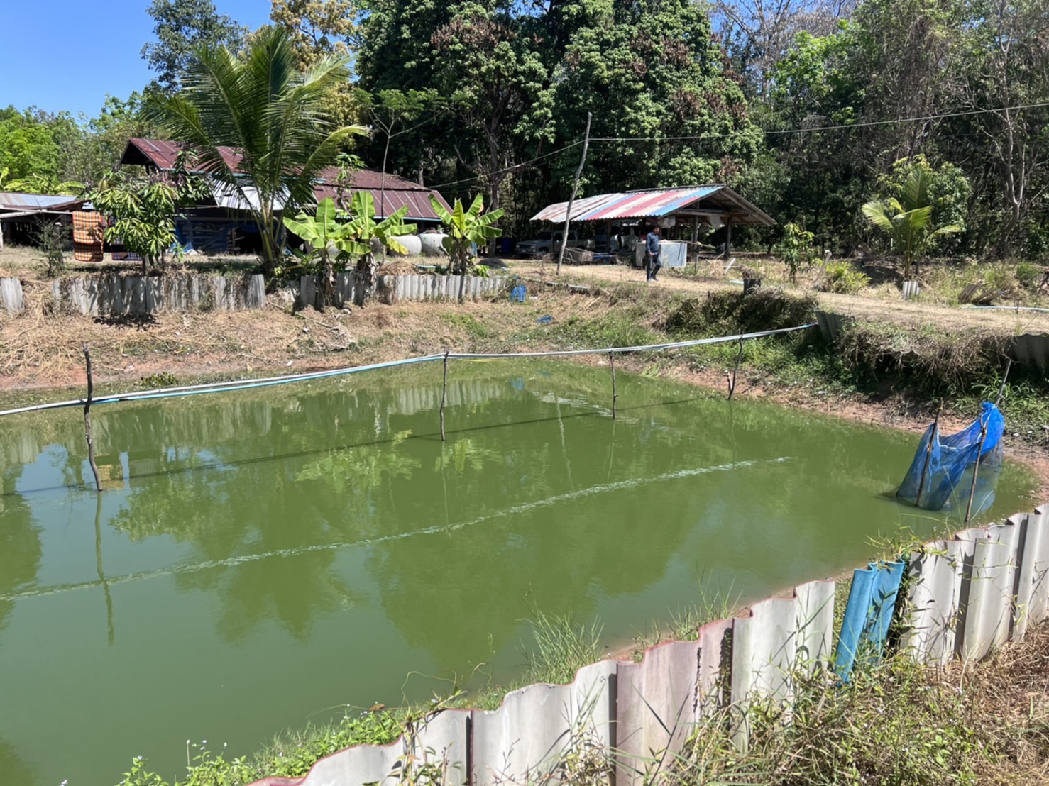 ประมงจังหวัดอุบลฯ ลงพื้นที่ตรวจเยี่ยม ฟาร์มเกษตรกรผู้เพาะเลี้ยงสัตวน้ำในพื้นที่อำเภอม่วงสามสิบ..คลิก