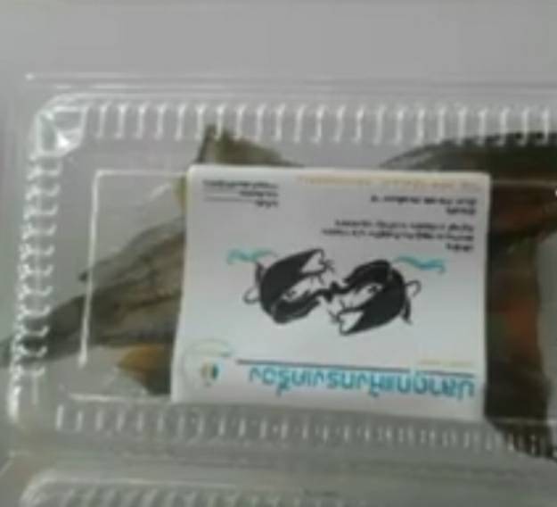 ประมงอำเภอโพธิ์ไทร รับผิดชอบงานด้านประมงอำเภอกุดข้าวปุ้น ลงพื้นที่ รับสมัครเกษตรกร  เพื่อจำหน่ายสินค้าประมง ผ่านเว็บไซต์ 