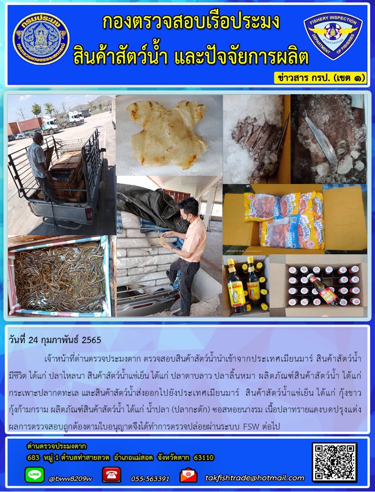 วันที่ 24 กุมภาพันธ์ 2565   	     เจ้าหน้าที่ด่านตรวจประมงตาก ตรวจสอบสินค้าสัตว์น้ำนำเข้าจากประเทศเมียนมาร์ สินค้าสัตว์น้ำ  มีชีวิต ได้แก่ ปลาไหลนา สินค้าสัตว์น้ำแช่เย็น ได้แก่ ปลาดาบลาว ปลาลิ้นหมา ผลิตภัณฑ์สินค้าสัตว์น้ำ ได้แก่กระเพาะปลากดทะเล และสินค้าสัตว์น้ำส่งออกไปยังประเทศเมียนมาร์  สินค้าสัตว์น้ำแช่เย็น ได้แก่ กุ้งขาว    กุ้งก้ามกราม ผลิตภัณฑ์สินค้าสัตว์น้ำ ได้แก่ น้ำปลา (ปลากะตัก) ซอสหอยนางรม เนื้อปลาทรายแดงบดปรุงแต่งผลการตรวจสอบถูกต้องตามใบอนุญาตจึงได้ทำการตรวจปล่อยผ่านระบบ FSW ต่อไป..คลิก