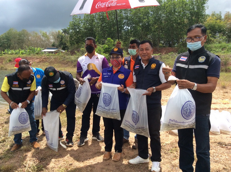 สนับสนุนพันธุ์ปลากินพืช เพื่อปล่อยลงสู่สระน้ำบ้านพรุโอน อำเภอป่าบอน จังหวัดพัทลุง..คลิก