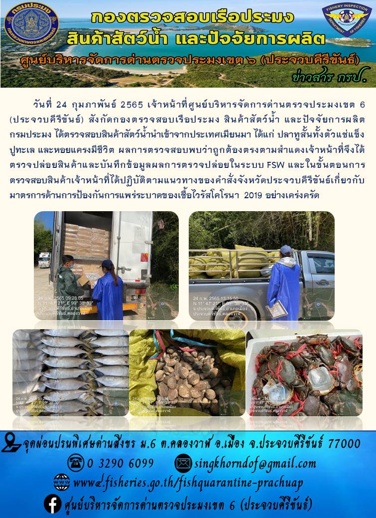 สินค้าสัตว์น้ำนำเข้าจากประเทศเมียนมา..คลิก