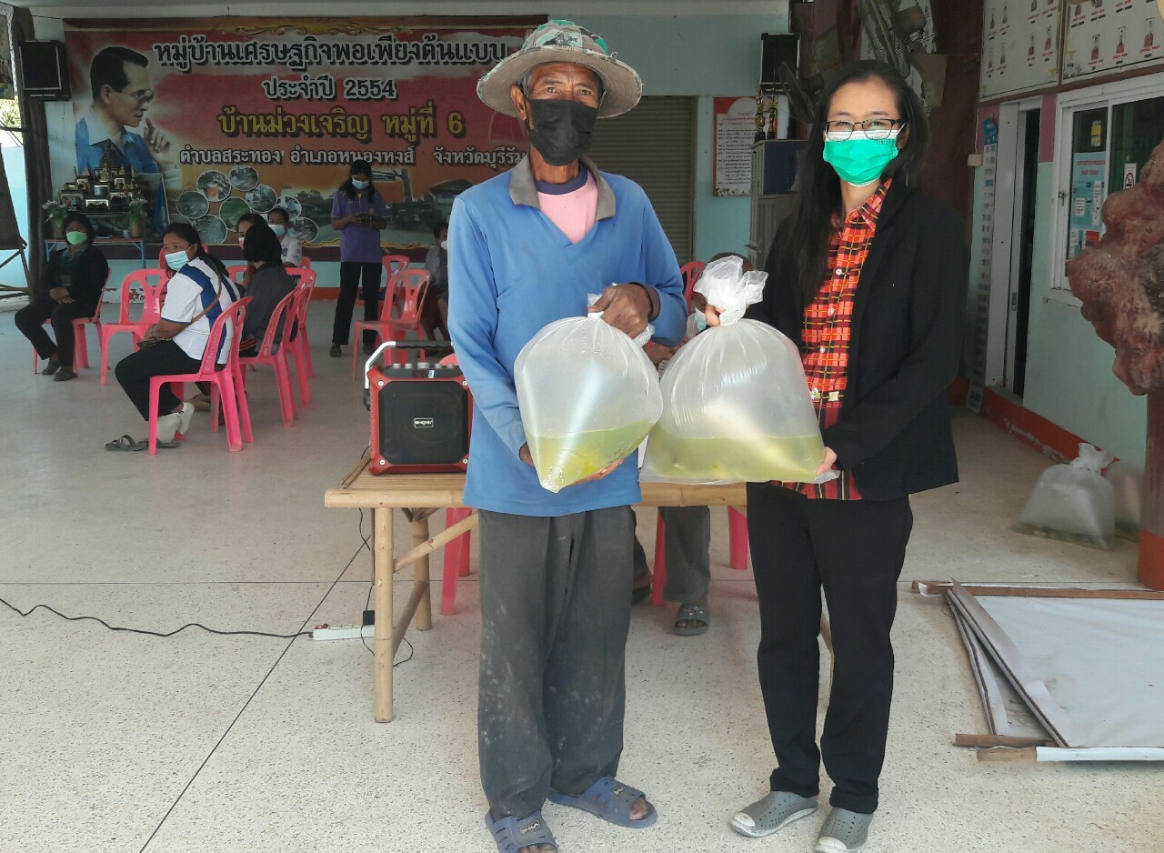 มอบปลาตะเพียนทดแทนการเก็บตัวอย่าง GAPแปลงใหญ่..คลิก