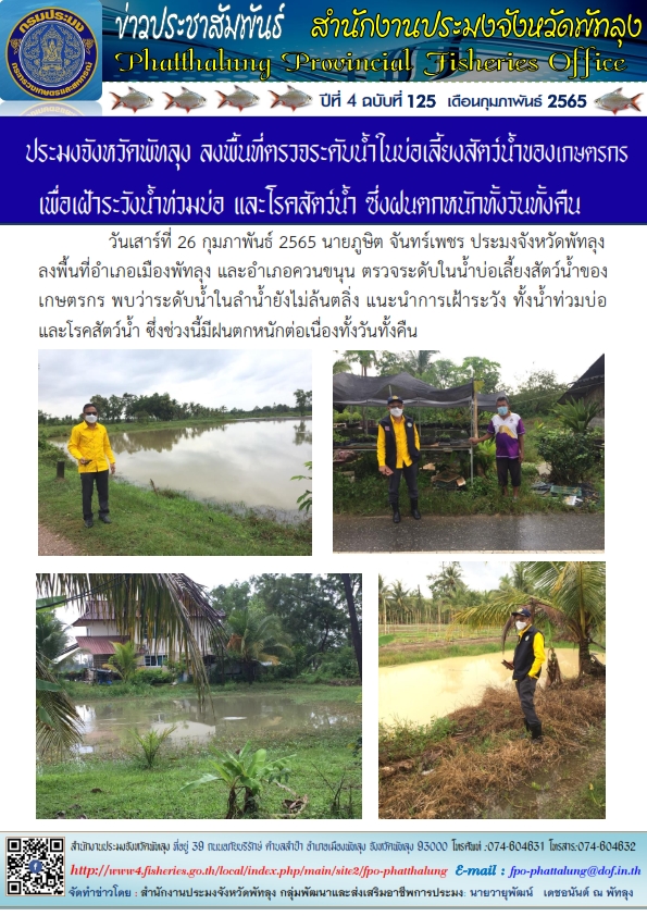 ประมงจังหวัดพัทลุง ลงพื้นที่ตรวจระดับน้ำในบ่อเลี้ยงสัตว์น้ำของเกษตรกรเพื่อเฝ้าระวังน้ำท่วมบ่อ และโรคสัตว์น้ำ ซึ่งฝนตกหนักทั้งวันทั้งคืน