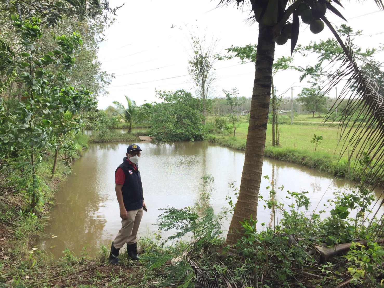 ประมงจังหวัดพัทลุง ลงพื้นที่ตรวจติดตามสถานการณ์ฝนตกหนักเพื่อเฝ้าระวังน้ำท่วมบ่อปลา โรคจากสัตว์น้ำ และกำชับเรื่องต่อ (ทบ.1)