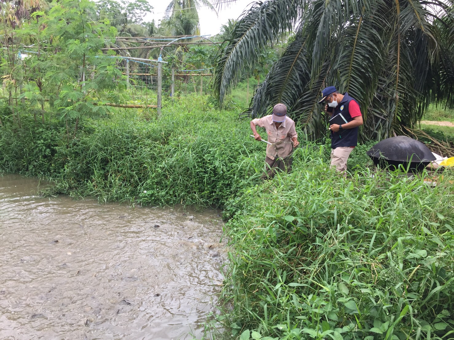 ประมงจังหวัดพัทลุง ลงพื้นที่เยี่ยมศูนย์ ศพก.อำเภอศรีบรรพต และกลุ่มแปรรูปปลาดุกบ้านโงกน้ำ อำเภอควนขนุน