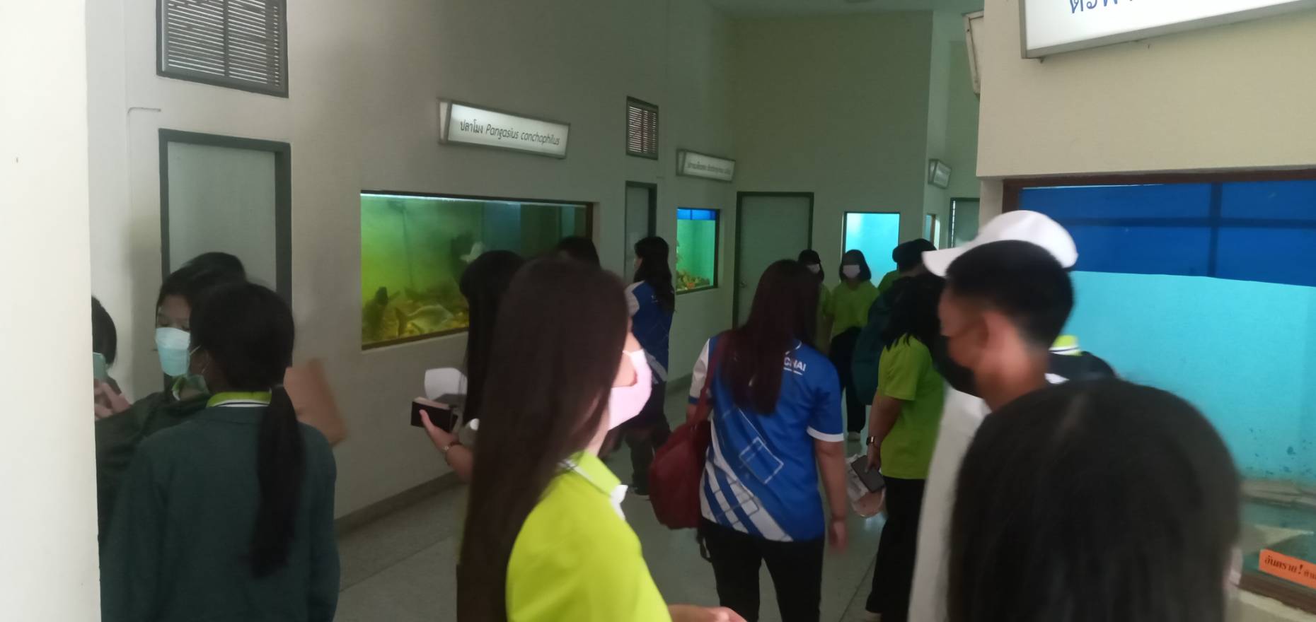 ศึกษาดูงาน โรงเรียนตามฝันแม่ใจ ตำบลศรีถ้อย อำเภอแม่ใจ จังหวัดพะเยา..คลิก