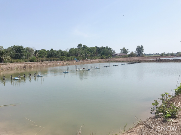 เข้าตรวจรับรองมาตรฐานฟาร์มพ่อแม่พันธุ์กุ้งก้ามกรามตามหลักพันธุศาสตร์ ในพื้นที่จังหวัดสุพรรณบุรี