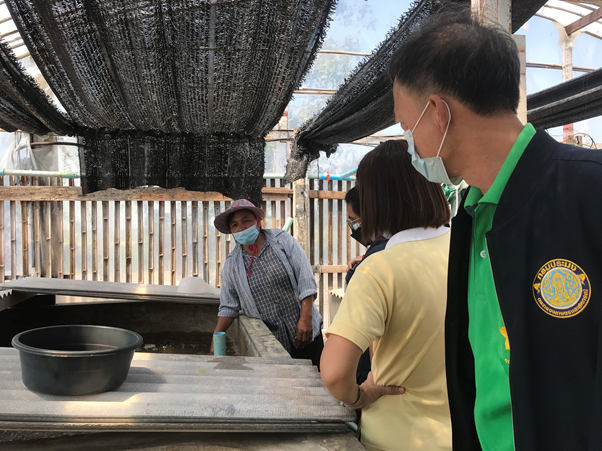 เข้าตรวจรับรองมาตรฐานฟาร์มพ่อแม่พันธุ์กุ้งก้ามกรามตามหลักพันธุศาสตร์ ในพื้นที่จังหวัดสุพรรณบุรี