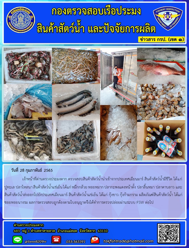 วันที่ 28 กุมภาพันธ์ 2565   	     เจ้าหน้าที่ด่านตรวจประมงตาก ตรวจสอบสินค้าสัตว์น้ำนำเข้าจากประเทศเมียนมาร์ สินค้าสัตว์น้ำมีชีวิต ได้แก่ ปูทะเล ปลาไหลนา สินค้าสัตว์น้ำแช่เย็น ได้แก่ หมึกกล้วย หอยหมาก ปลากะพงแดงหน้าตั้ง ปลาลิ้นหมา ปลาดาบลาว และสินค้าสัตว์น้ำส่งออกไปยังประเทศเมียนมาร์ สินค้าสัตว์น้ำแช่เย็น ได้แก่ กุ้งขาว กุ้งก้ามกราม ผลิตภัณฑ์สินค้าสัตว์น้ำ ได้แก่ ซอยหอยนางรม ผลการตรวจสอบถูกต้องตามใบอนุญาตจึงได้ทำการตรวจปล่อยผ่านระบบ FSW ต่อไป..คลิก