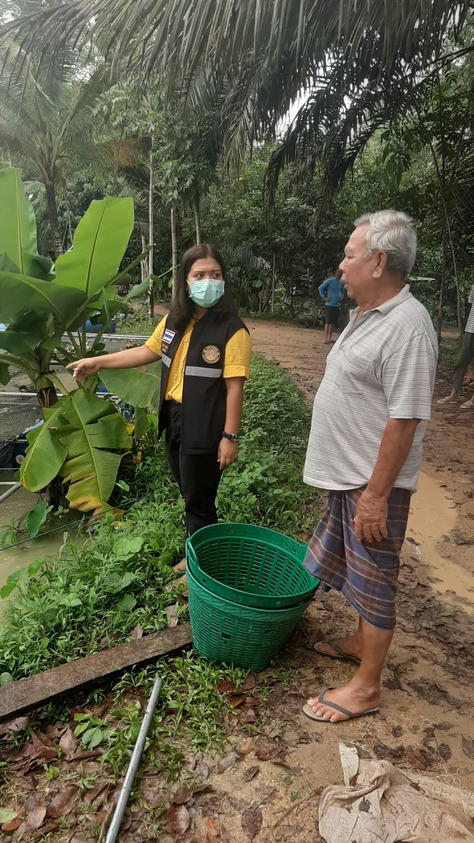 ประมงอำเภอบางแก้ว ลงพื้นที่ตรวจสอบความเสียหายจากอุทกภัย กระชังปลา และบ่อปลาของอำเภอบางแก้ว..คลิก