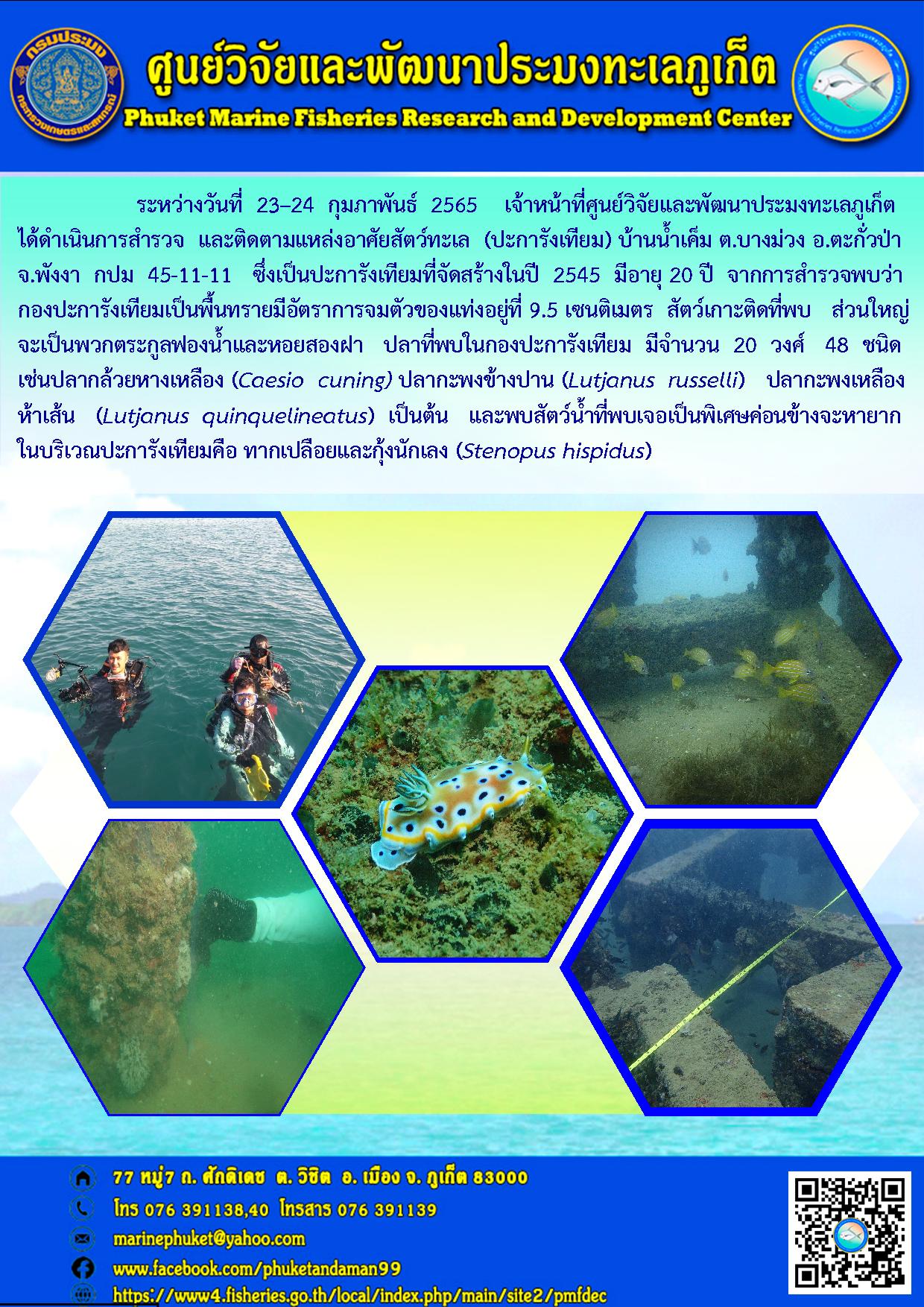 ระหว่างวันที่ 23–24 กุมภาพันธ์ 2565 เจ้าหน้าที่ศูนย์วิจัยและพัฒนาประมงทะเลภูเก็ต ได้ดำเนินการสำรวจ  และติดตามแหล่งอาศัยสัตว์ทะเล (ปะการังเทียม)บ้านน้ำเค็ม ต.บางม่วง อ.ตะกั่วป่า จ.พังงา..คลิก