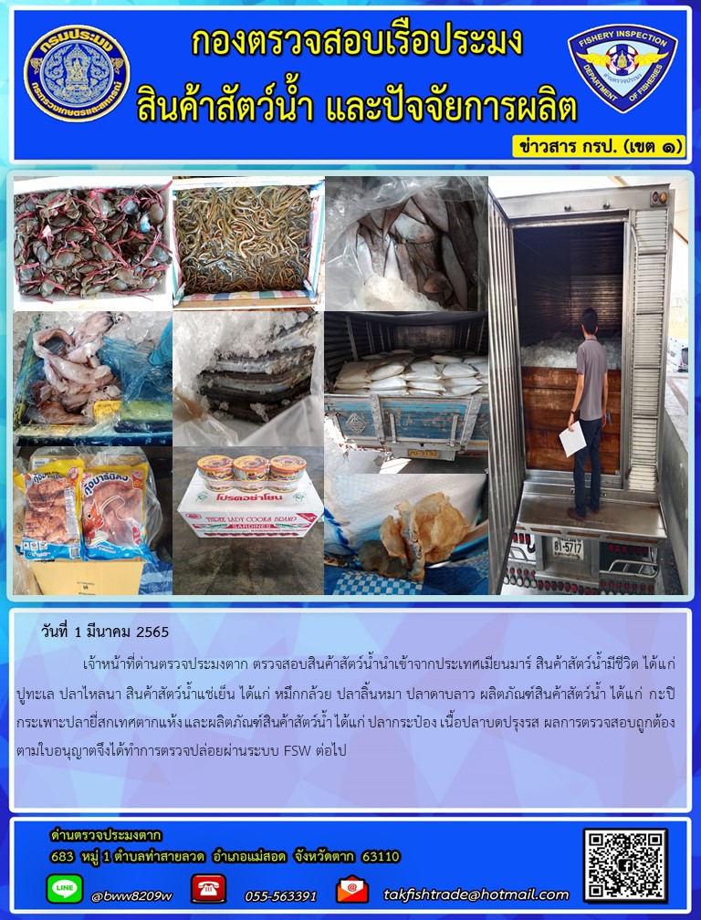 วันที่ 1 มีนาคม 2565   	     เจ้าหน้าที่ด่านตรวจประมงตาก ตรวจสอบสินค้าสัตว์น้ำนำเข้าจากประเทศเมียนมาร์ สินค้าสัตว์น้ำมีชีวิต ได้แก่ ปูทะเล ปลาไหลนา สินค้าสัตว์น้ำแช่เย็น ได้แก่ หมึกกล้วย ปลาลิ้นหมา ปลาดาบลาว ผลิตภัณฑ์สินค้าสัตว์น้ำ ได้แก่ กะปิ กระเพาะปลายี่สกเทศตากแห้ง และผลิตภัณฑ์สินค้าสัตว์น้ำ ได้แก่ ปลากระป๋อง เนื้อปลาบดปรุงรส ผลการตรวจสอบถูกต้องตามใบอนุญาตจึงได้ทำการตรวจปล่อยผ่านระบบ FSW ต่อไป..คลิก
