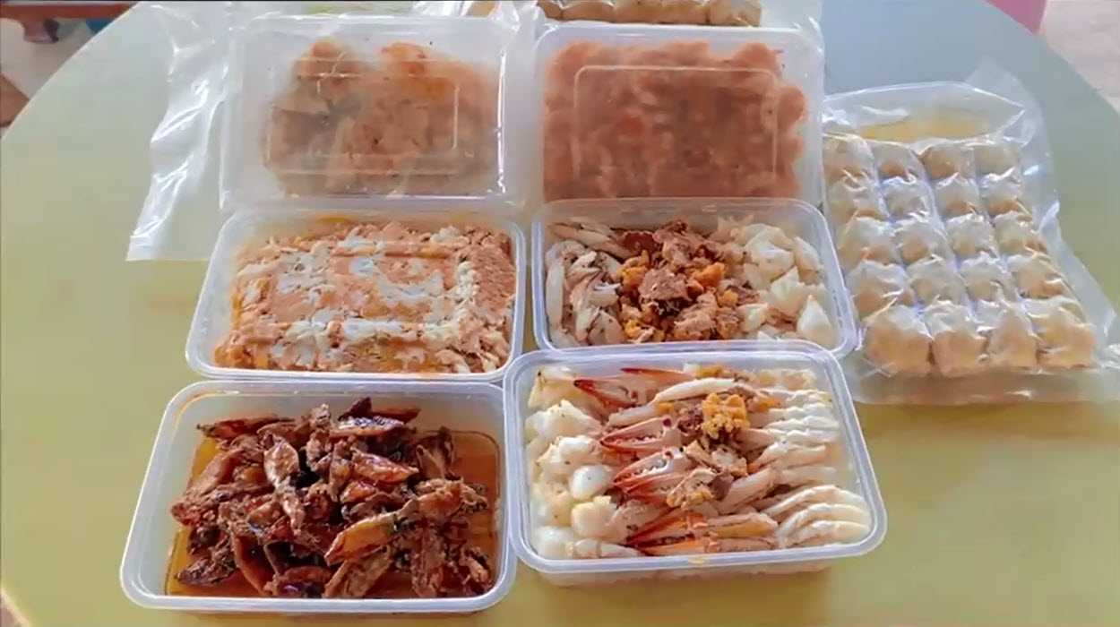 โครงการขยายผลธนาคารปูม้าเพื่อคืนปูม้าสู่ทะเลไทย 