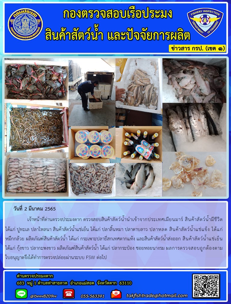 วันที่ 2 มีนาคม 2565   	     เจ้าหน้าที่ด่านตรวจประมงตาก ตรวจสอบสินค้าสัตว์น้ำนำเข้าจากประเทศเมียนมาร์ สินค้าสัตว์น้ำมีชีวิต ได้แก่ ปูทะเล ปลาไหลนา สินค้าสัตว์น้ำแช่เย็น ได้แก่ ปลาลิ้นหมา ปลาดาบลาว ปลาหลด สินค้าสัตว์น้ำแช่แข็ง ได้แก่ หมึกกล้วย ผลิตภัณฑ์สินค้าสัตว์น้ำ ได้แก่ กระเพาะปลายี่สกเทศตากแห้ง และสินค้าสัตว์น้ำส่งออก สินค้าสัตว์น้ำแช่เย็น ได้แก่ กุ้งขาว ปลากะพงขาว ผลิตภัณฑ์สินค้าสัตว์น้ำ ได้แก่ ปลากระป๋อง ซอยหอยนางรม ผลการตรวจสอบถูกต้องตามใบอนุญาตจึงได้ทำการตรวจปล่อยผ่านระบบ FSW ต่อไป..คลิก