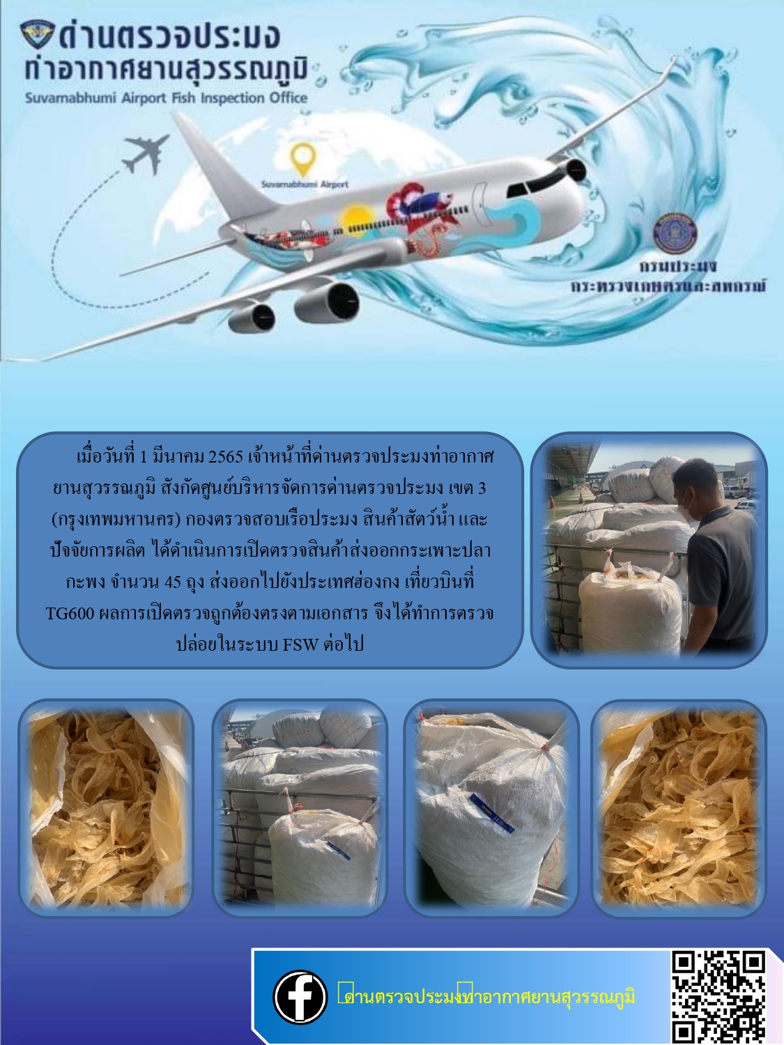 เปิดตรวจสินค้ากระเพาะปลาส่งออกไปยังฮ่องกง