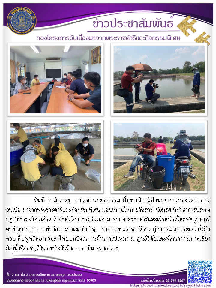 วันที่ ๒ มีนาคม ๒๕๖๕ นายสุธรรม ลิ่มพานิช ผู้อำนายการกองโครงการ อันเนื่องมาจากพระราชดำริและกิจกรรมพิเศษ มอบหมายให้นายวัชรกร นิยมรส นักวิชาการประมง ปฏิบัติการพร้อมเจ้าหน้าที่กลุ่มโครงการอันเนื่องมาจากพระราชดำริและเจ้าหน้าที่โสตทัศนูปกรณ์ ดำเนินการเข้าถ่ายทำสื่อประชาสัมพันธ์ ชุด สืบสานพระราชปณิธาน สู่การพัฒนาประมงที่ยั่งยืน ตอน ฟื้นฟูทรัพยากรปลาไทย...หนึ่งในงานด้านการประมง ณ ศูนย์วิจัยและพัฒนาการเพาะเลี้ยง สัตว์น้ำจืดราชบุรี..คลิก