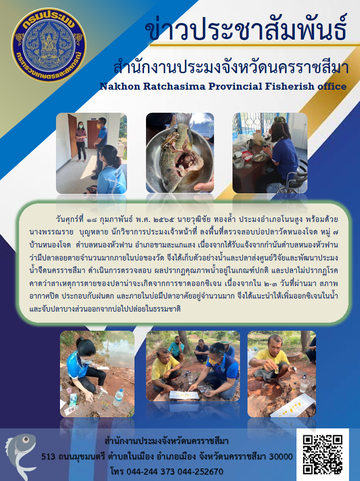 ประมงอำเภอโนนสูง พร้อมด้วย นางพรรณราย  บุญหลาย นักวิชาการประมงเจ้าหน้าที่ ลงพื้นที่ตรวจสอบบ่อปลาวัดหนองโจด หมู่ 7 บ้านหนองโจด  ตำบลหนองหัวฟาน อำเภอขามสะแกแสง..คลิก