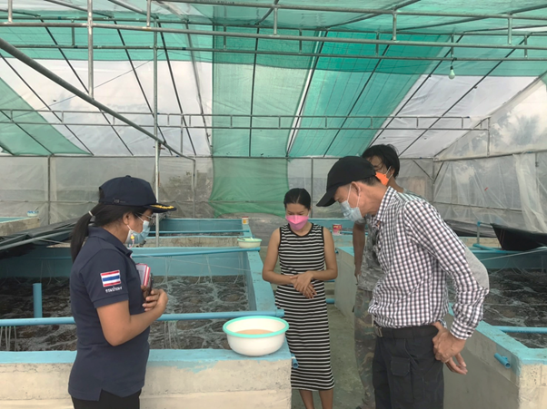 เข้าตรวจรับรองมาตรฐานฟาร์มพ่อแม่พันธุ์กุ้งก้ามกรามตามหลักพันธุศาสตร์ ในพื้นที่จังหวัดฉะเชิงเทรา