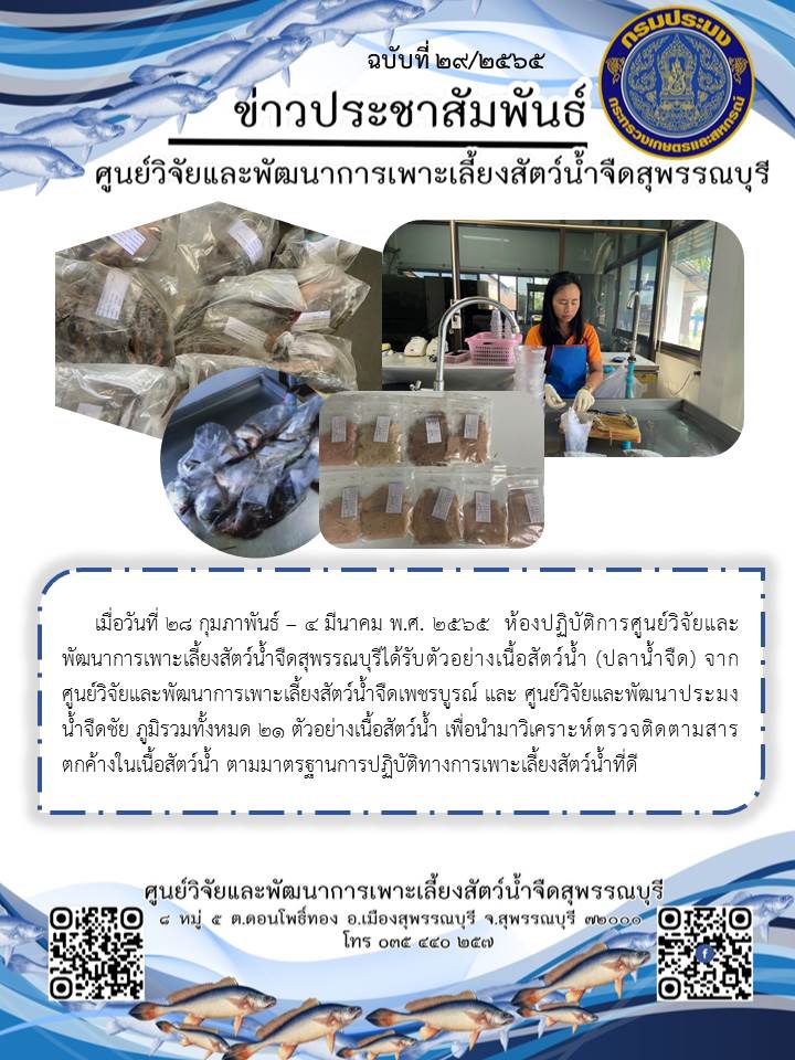 ข่าวประชาสัมพันธ์ฉบับที่ 29 ประจำเดือนมีนาคม 2565..คลิก
