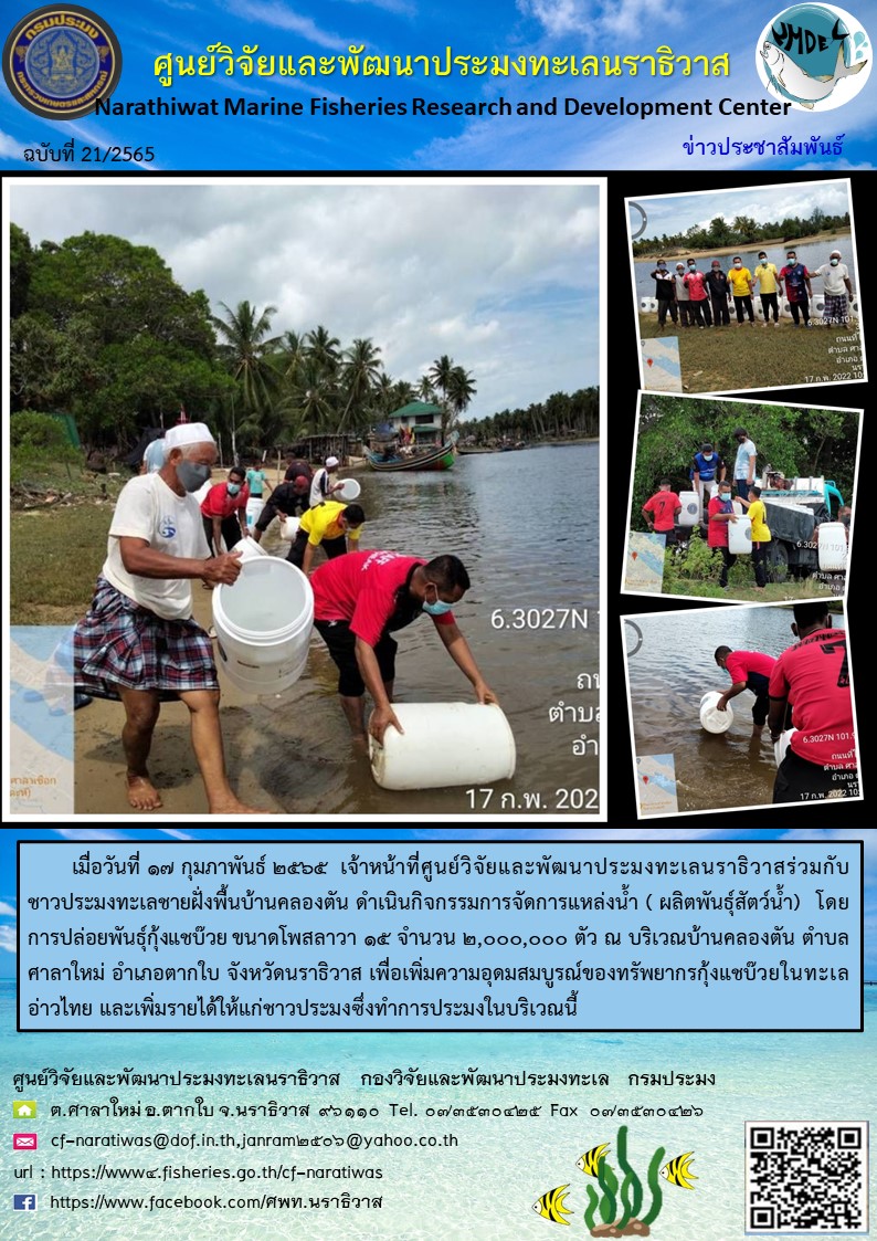 การปล่อยพันธุ์กุ้งแชบ๊วย กิจกรรมการจัดการแหล่งน้ำ ( ผลิตพันธุ์สัตว์น้ำ)   ประจำปี 2565