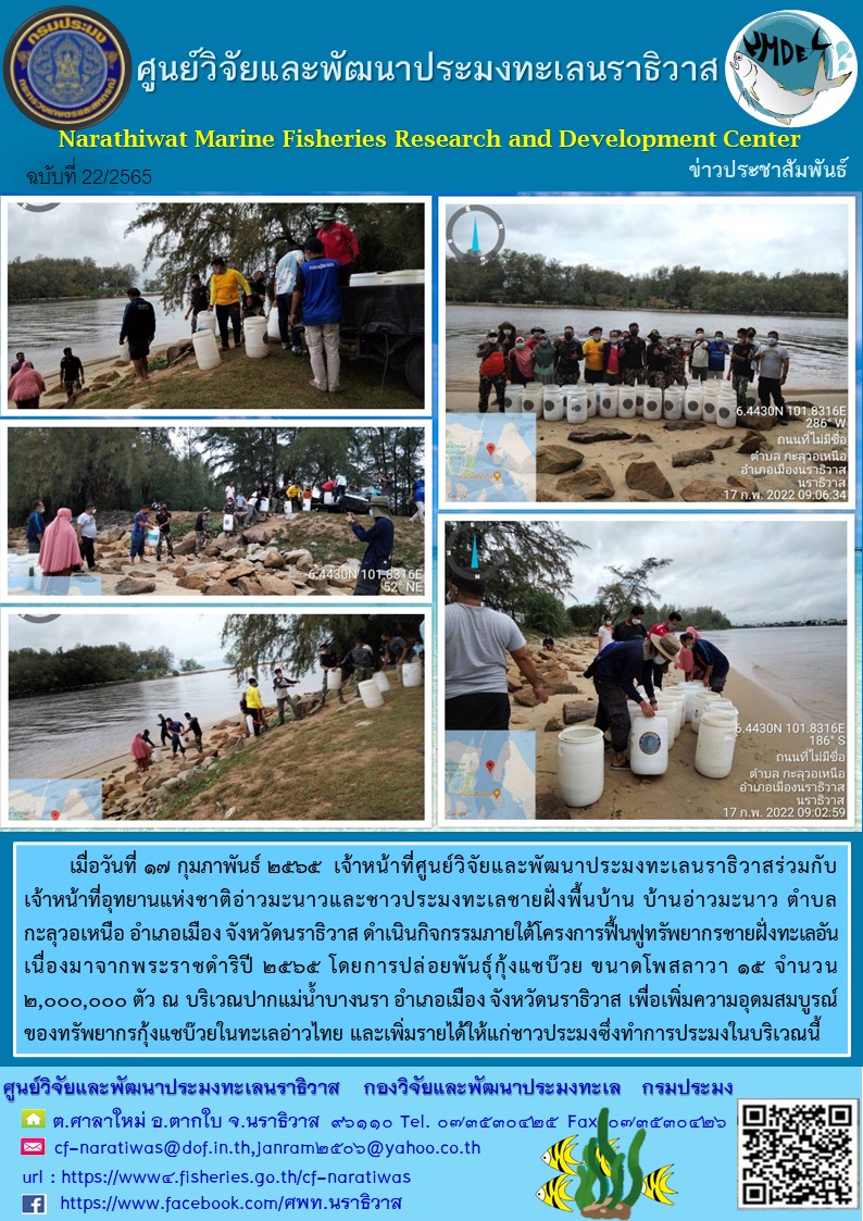 การปล่อยพันธุ์กุ้งแชบ๊วย  โครงการฟื้นฟูทรัพยากรชายฝั่งทะเลอันเนื่องมาจากพระราชดำริปี 2565..คลิก