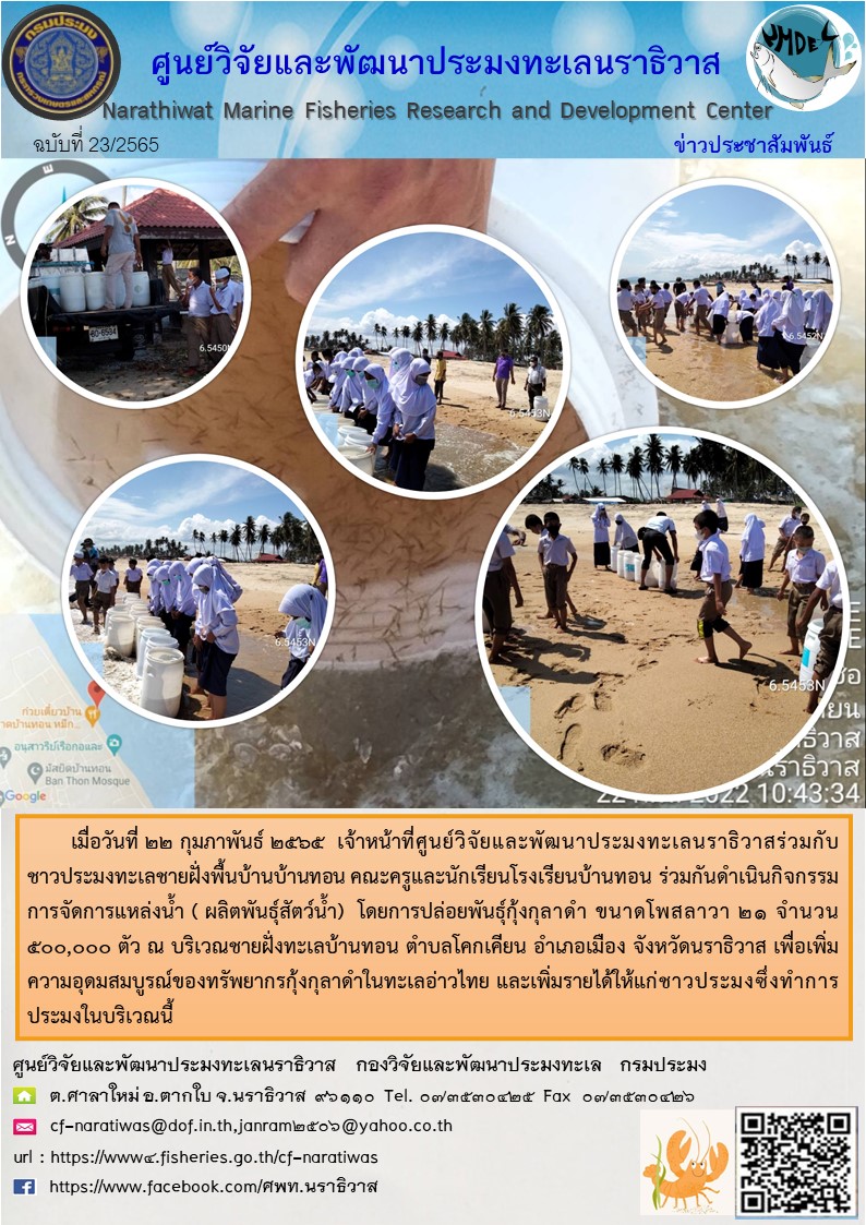 การปล่อยพันธุ์กุ้งกุลาดำ  กิจกรรมการจัดการแหล่งน้ำ ( ผลิตพันธุ์สัตว์น้ำ)  ประจำปี 2565..คลิก