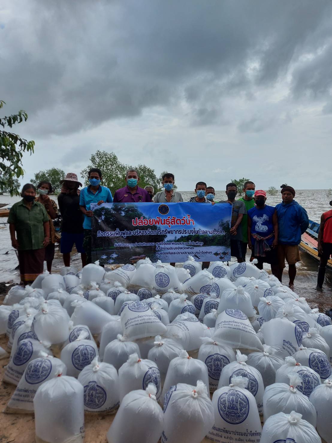 ประมงอำเภอเมืองพัทลุง ร่วมปล่อยพันธุ์สัตว์น้ำ โครงการฟื้นฟูทรัพยากรในทะเลสาบสงขลา..คลิก