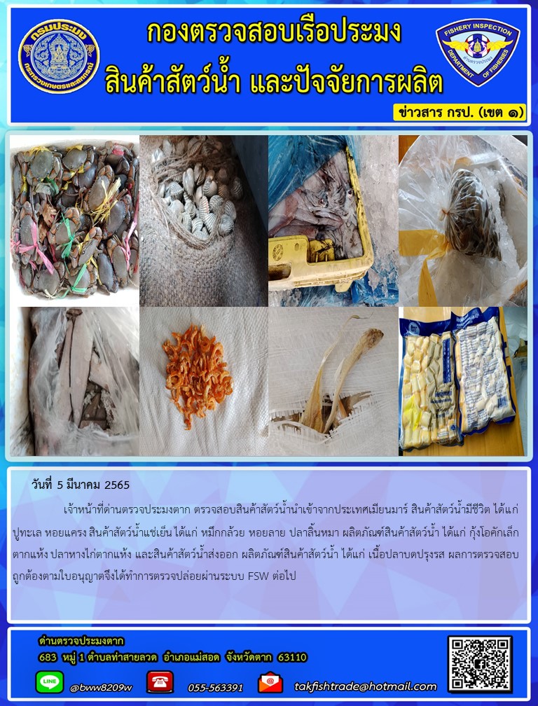 วันที่ 5 มีนาคม 2565   	     เจ้าหน้าที่ด่านตรวจประมงตาก ตรวจสอบสินค้าสัตว์น้ำนำเข้าจากประเทศเมียนมาร์ สินค้าสัตว์น้ำมีชีวิต ได้แก่ ปูทะเล หอยแครง สินค้าสัตว์น้ำแช่เย็น ได้แก่ หมึกกล้วย หอยลาย ปลาลิ้นหมา ผลิตภัณฑ์สินค้าสัตว์น้ำ ได้แก่ กุ้งโอคักเล็กตากแห้ง ปลาหางไก่ตากแห้ง และสินค้าสัตว์น้ำส่งออก ผลิตภัณฑ์สินค้าสัตว์น้ำ ได้แก่ เนื้อปลาบดปรุงรส ผลการตรวจสอบถูกต้องตามใบอนุญาตจึงได้ทำการตรวจปล่อยผ่านระบบ FSW ต่อไป..คลิก